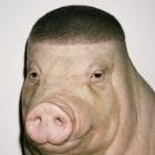 DawidAC