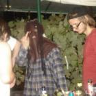 Murko13