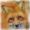 redfoxiczek