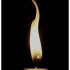 waxycoal