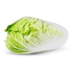 NyabberCabbage