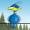 Blaumeise