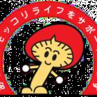 mokkori