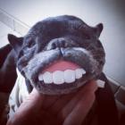 Neok