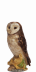 Dalmore Barn Owl