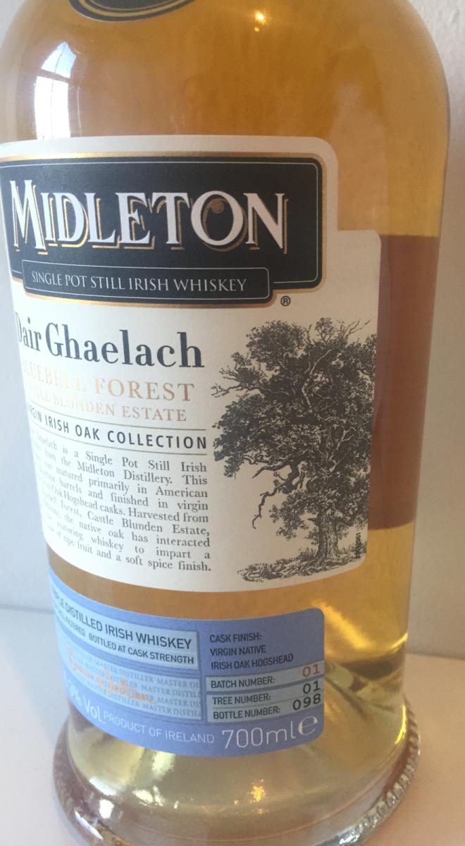 midleton dair ghaelach bluebell forest