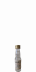 Gold Cock 2019 New Make