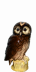 Whyte & Mackay Tawny Owl W&M