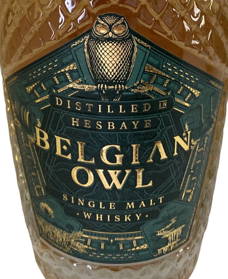 The Belgian Owl 03-year-old