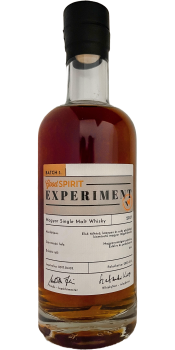 Good Spirit Experiment 2017 Vtls