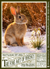 Photo by <a href="https://www.whiskybase.com/profile/loba">Loba</a>