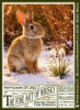 Photo by <a href="https://www.whiskybase.com/profile/loba">Loba</a>
