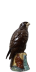 Whyte & Mackay Buzzard W&M